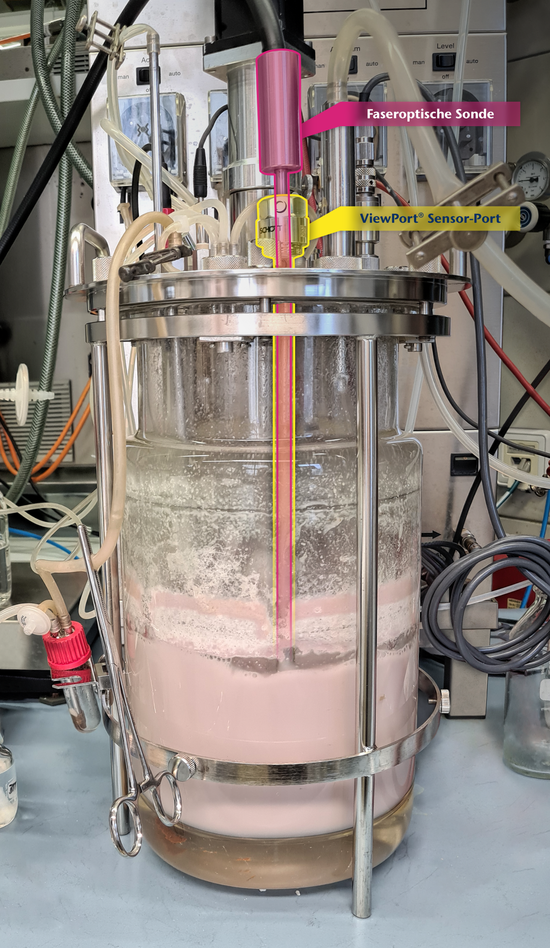 Nicht-invasive Online-Fluoreszenzspektroskopie in Rührkessel-Fermentern / Flexible Untersuchung komplexer Bioprozesse